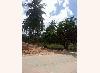 Vacant Lot for Sale in San Vicente, Palawan